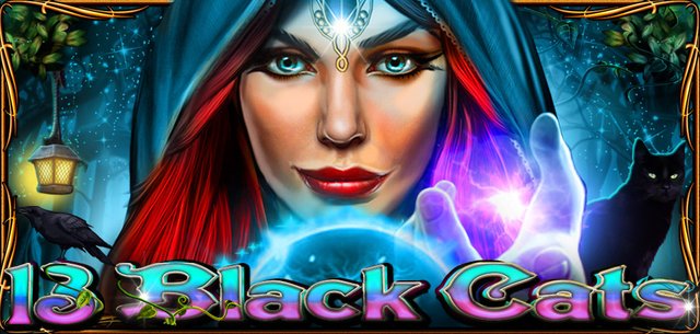 13 Black Cats