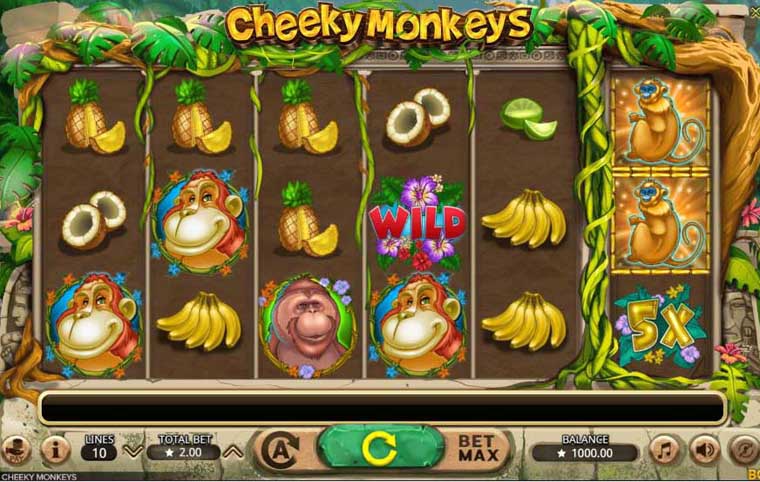 3 Cheeky Chimps