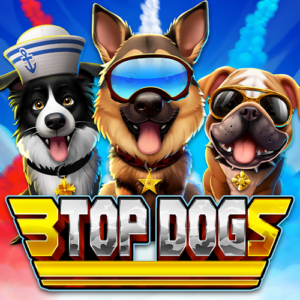 3 Top Dogs