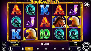 Book of Wild