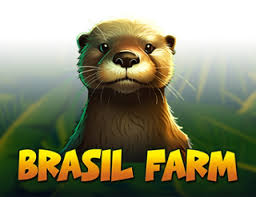 Brazil Farm