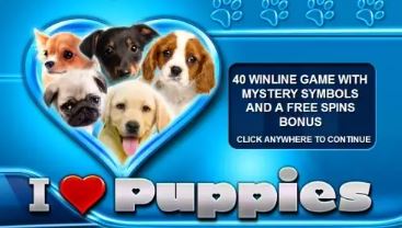 I Heart Puppies
