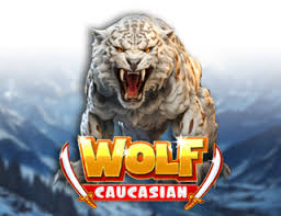 Caucasian Wolf