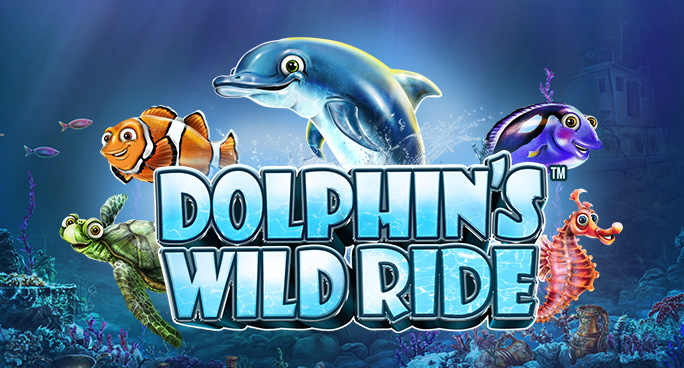 Dolphin's Wild Ride