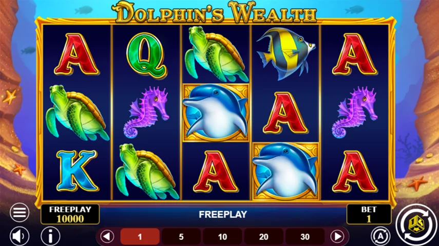 Dolphin's Wealth