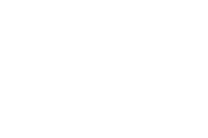 FTG logo