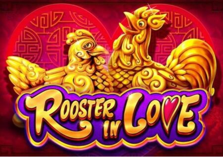 Rooster in Love