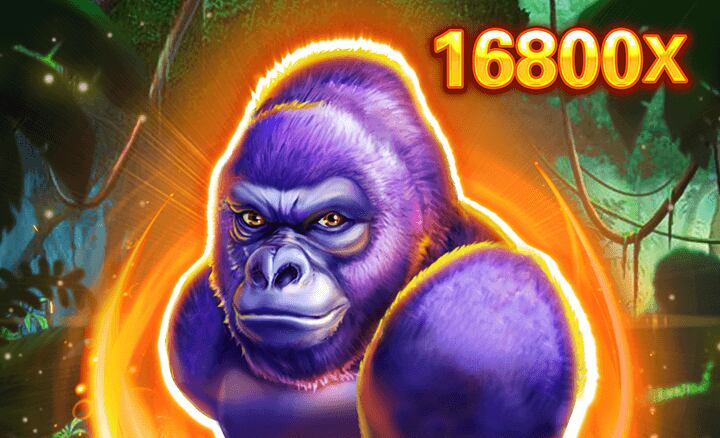 Kong