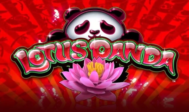 Lotus Panda