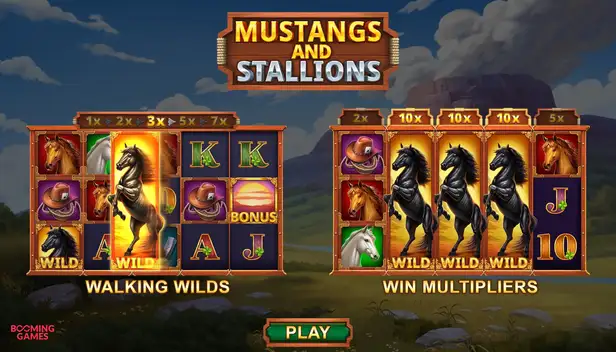 Mustang and Stallions