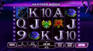 Panther Moon Playtech slot
