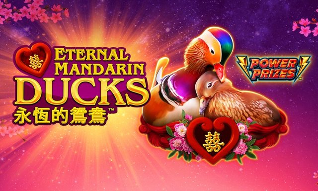 Power Prizes Eternal Mandarin Ducks