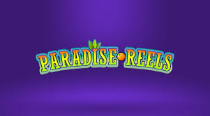 Reels Paradise