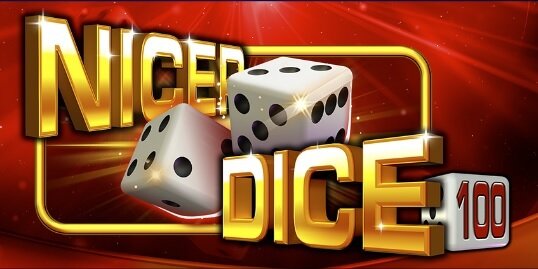 Nicer Dice 100
