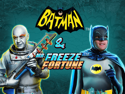 Batman & Mr Freeze Fortune