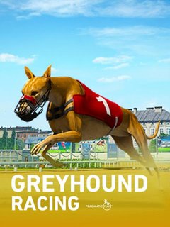 Virtual Greyhounds