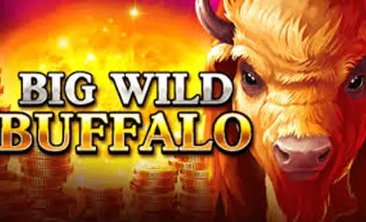 Big Wild Buffalo