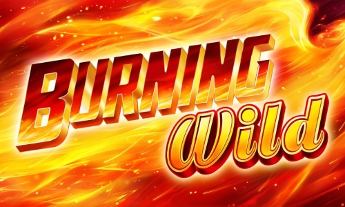 Burning WILD