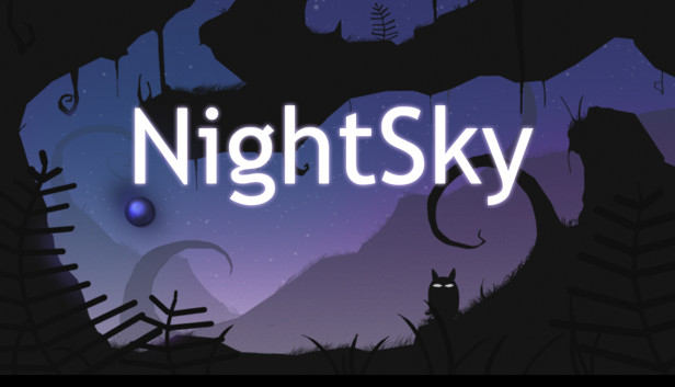 Night Sky