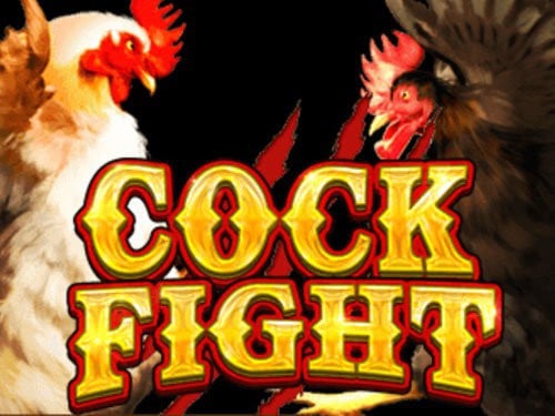 Cock Fight