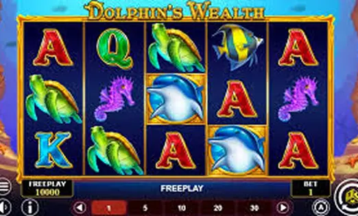 Dolphin's Wealth