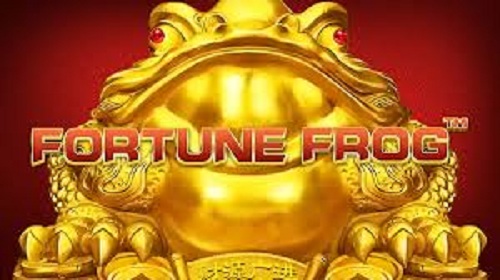Fortune Frog