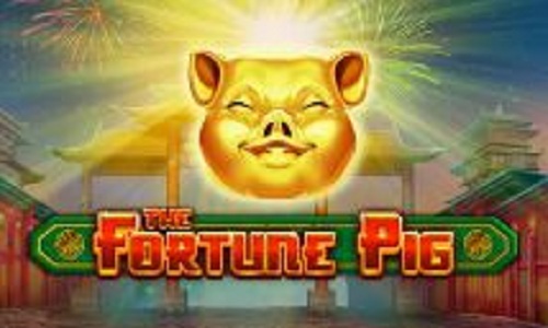 Fortune pig