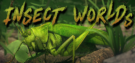Insect World