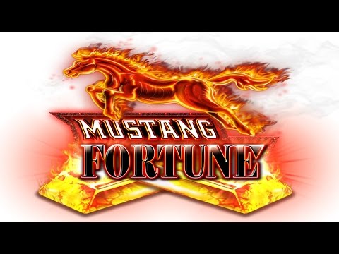 Mustang Money RR