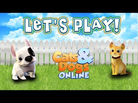 Cats 'n' Dogs