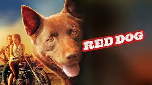 Red Dog