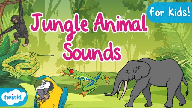 Sounds of Jungle