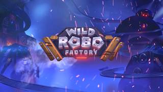 Operation Wilds