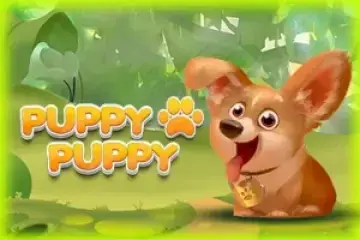 Puppy Spins