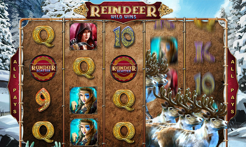 Reindeer Wild Wins XL
