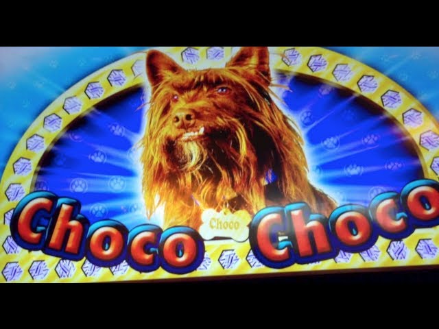 Choco Choco