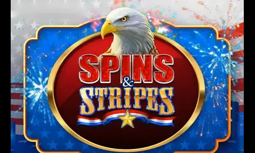 Spins and Stripes