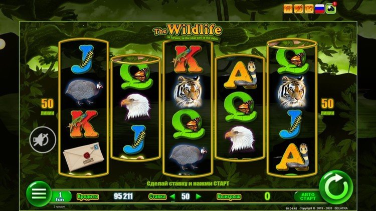 the Wildlife