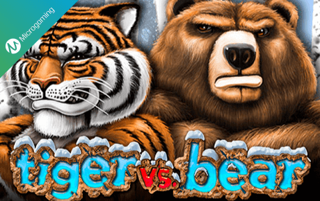 Tiger vs Bear