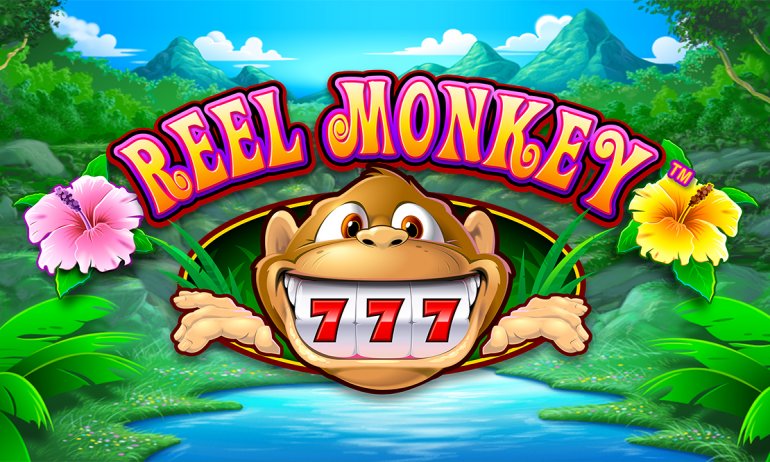Monkey's Millions