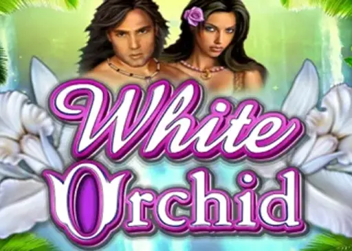 White Orchid