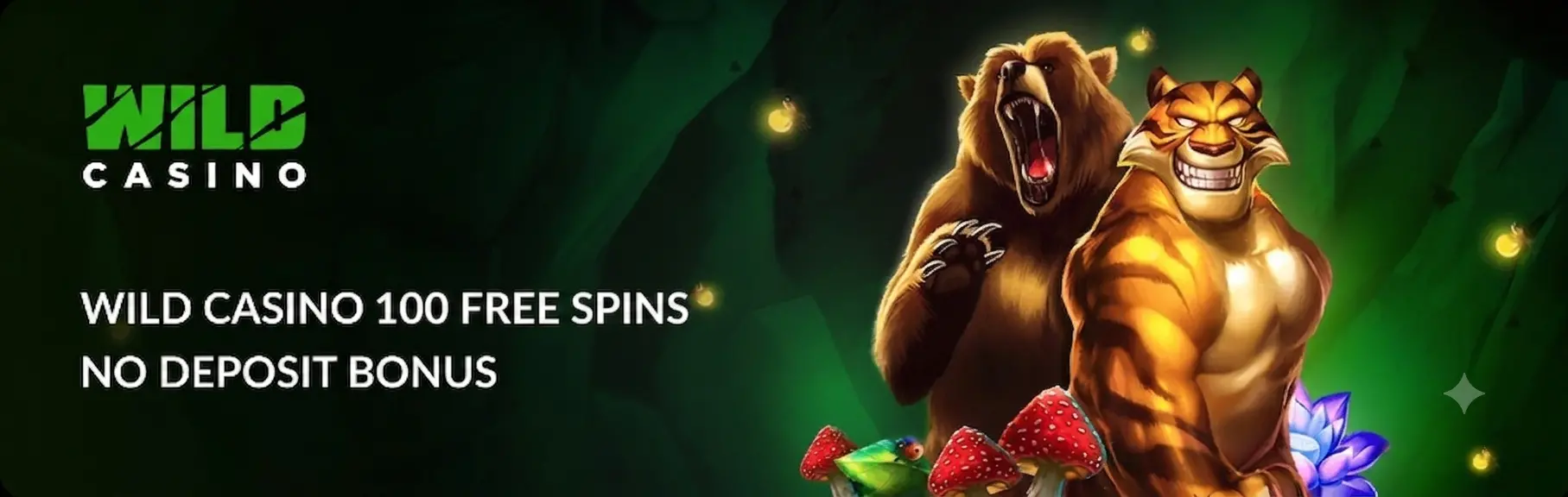 Main banner Wild Casino $100 Free Spins Bonus
