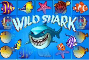Wild Shark Amatic slot
